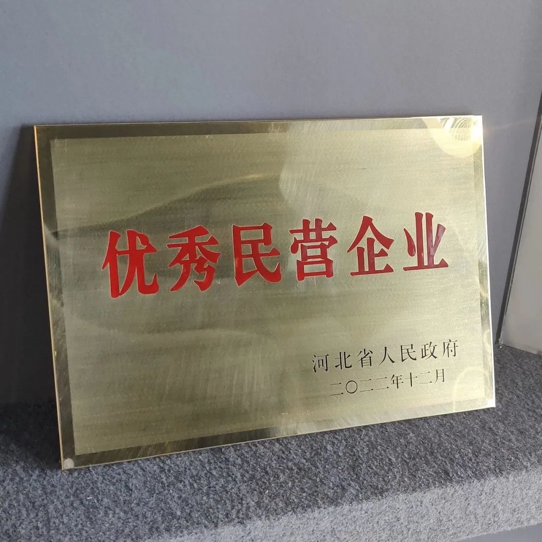 民營企業(yè)高質量發(fā)展丨熱烈慶祝河北兆建榮獲“省級優(yōu)秀民營企業(yè)”